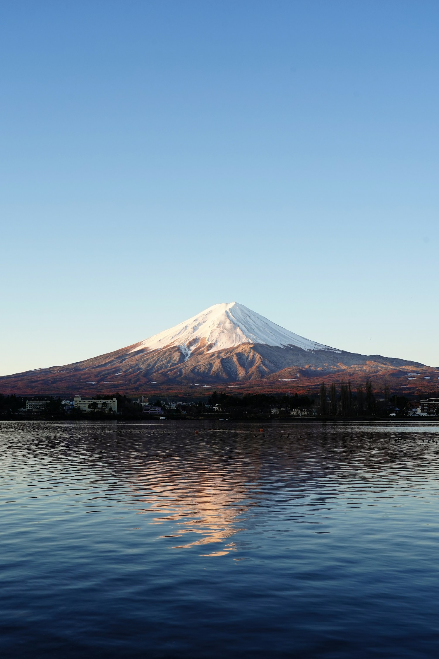 Mount Fuji viewed from Lake Kawaguchi