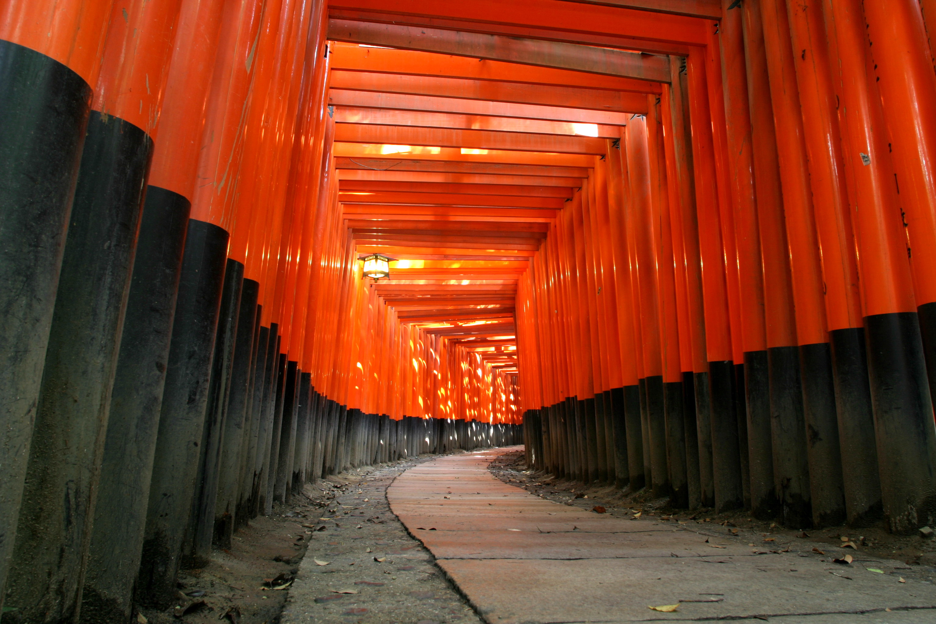 Vermilion torii gates at Fushimi Inari Taisha in Kyoto