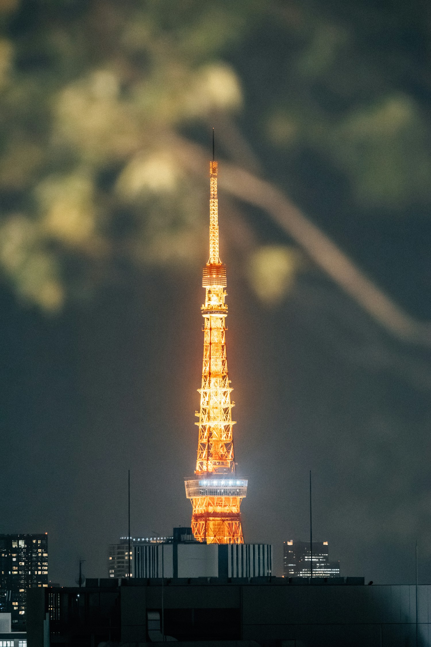 Tokyo city scenery